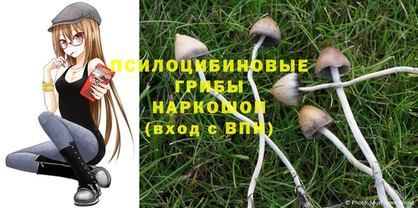 спиды Арсеньев