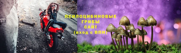 спиды Арсеньев