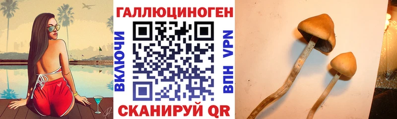 Галлюциногенные грибы ЛСД Суджа