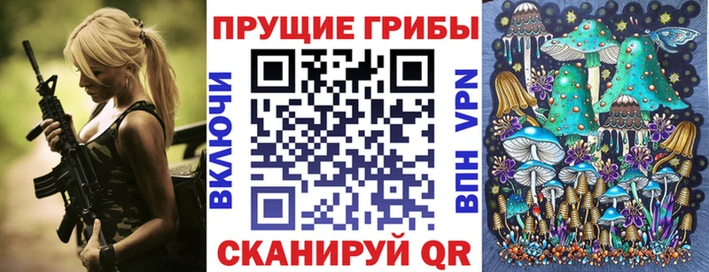Галлюциногенные грибы Cubensis Суджа
