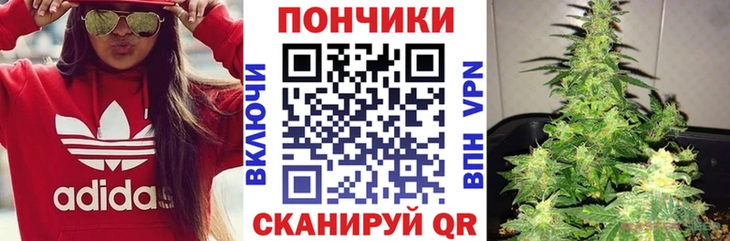 Конопля марихуана  Суджа 